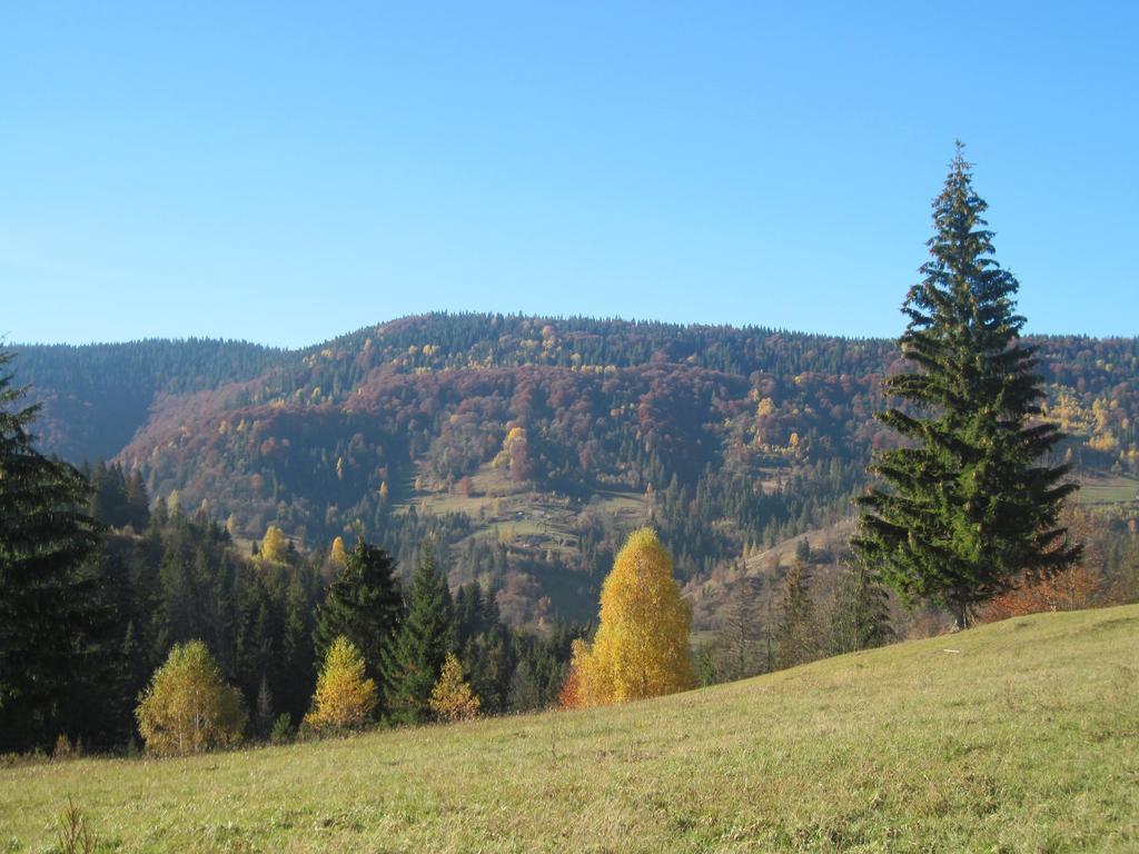 Guest House Stari Druzy Slavsko Exterior foto