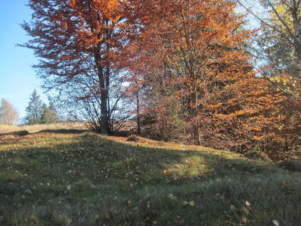 Guest House Stari Druzy Slavsko Exterior foto