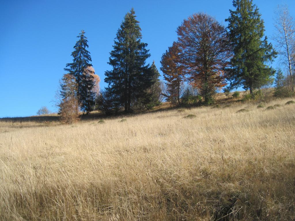 Guest House Stari Druzy Slavsko Exterior foto